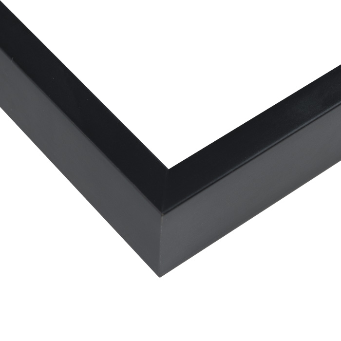 R601NERO